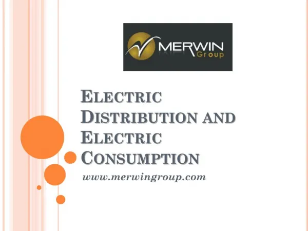 Electric Distribution and Electric Consumption - www.merwingroup.com