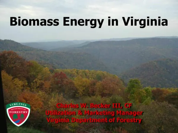 Biomass Energy in Virginia