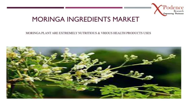 Explore Moringa Ingredients Market Global forecast to 2025