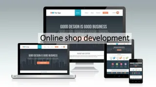 Online shop development