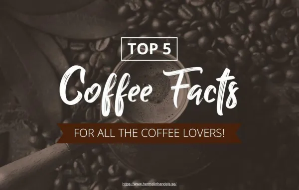 Facts about coffee that every coffee lover should know