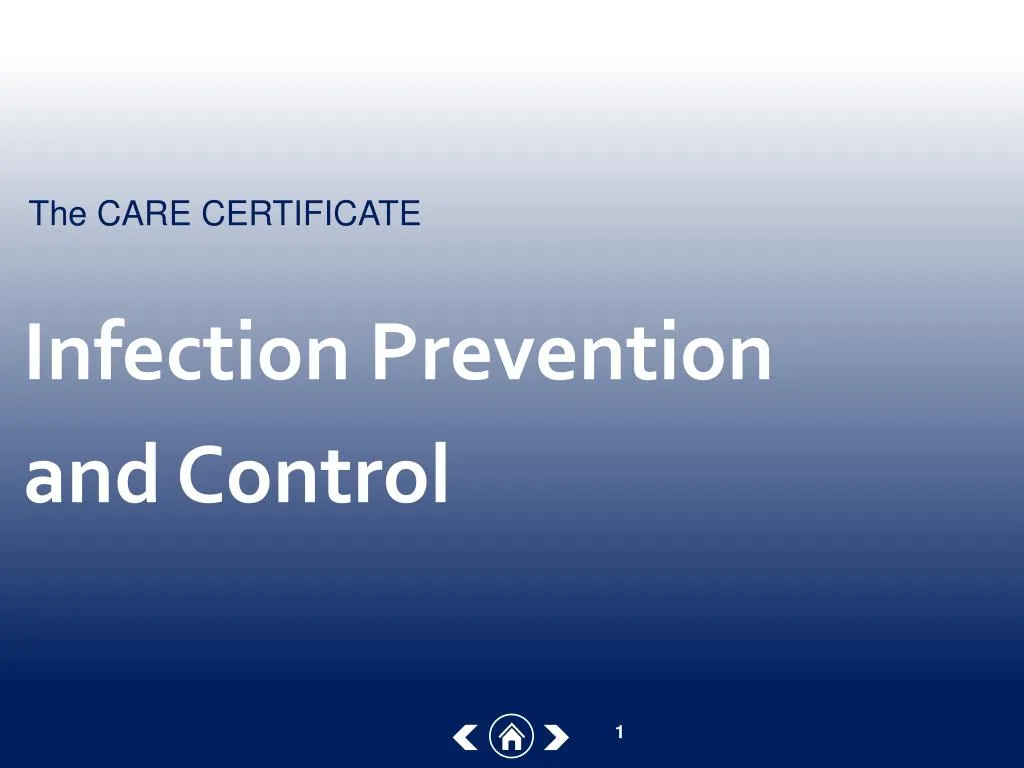 infection prevention and control