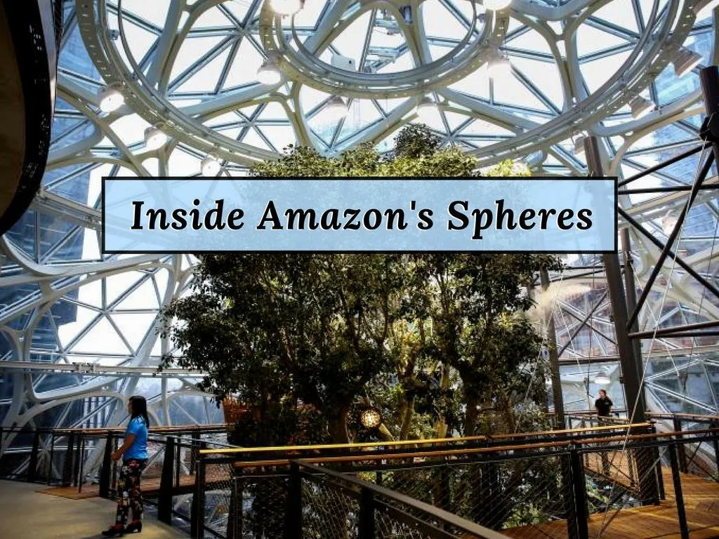 inside amazon s spheres
