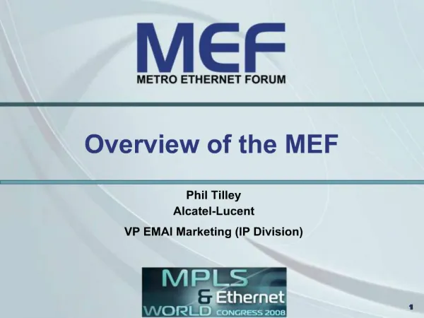 Overview of the MEF