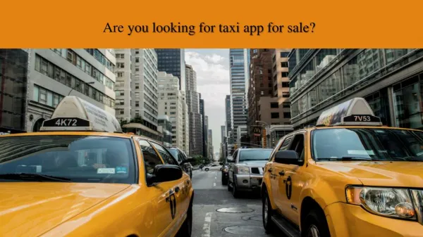 Are you looking for taxi app for sale