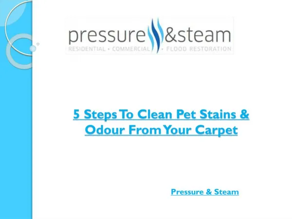 5 Steps To Clean Pet Stains & Odour From Your Carpet