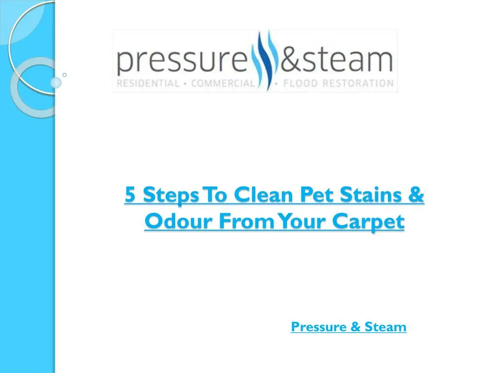 5 steps to clean pet stains odour from your carpet
