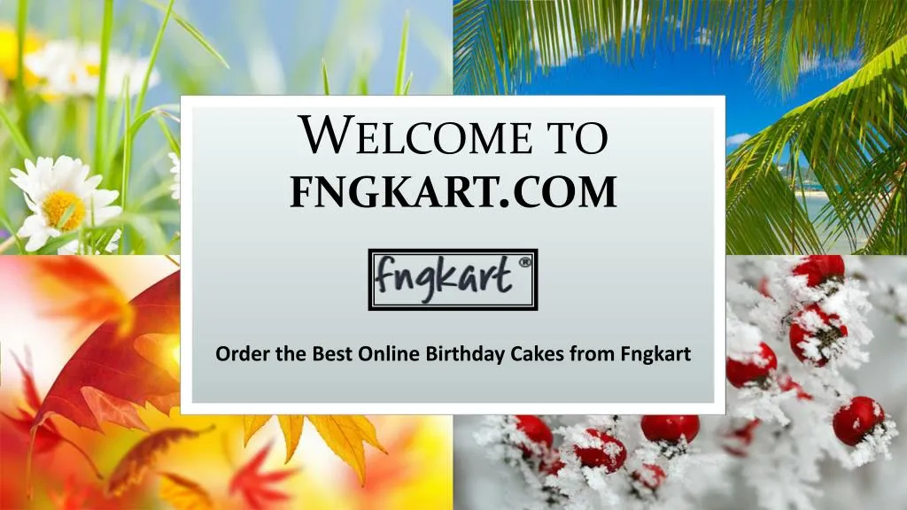 welcome to fngkart com