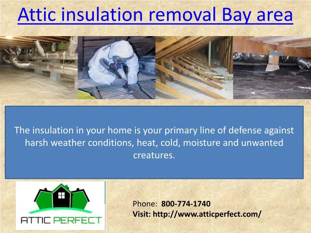 attic insulation removal bay area