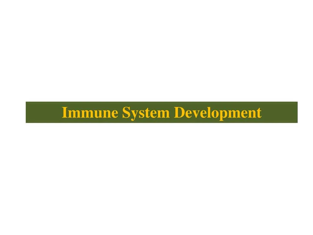 immune system development