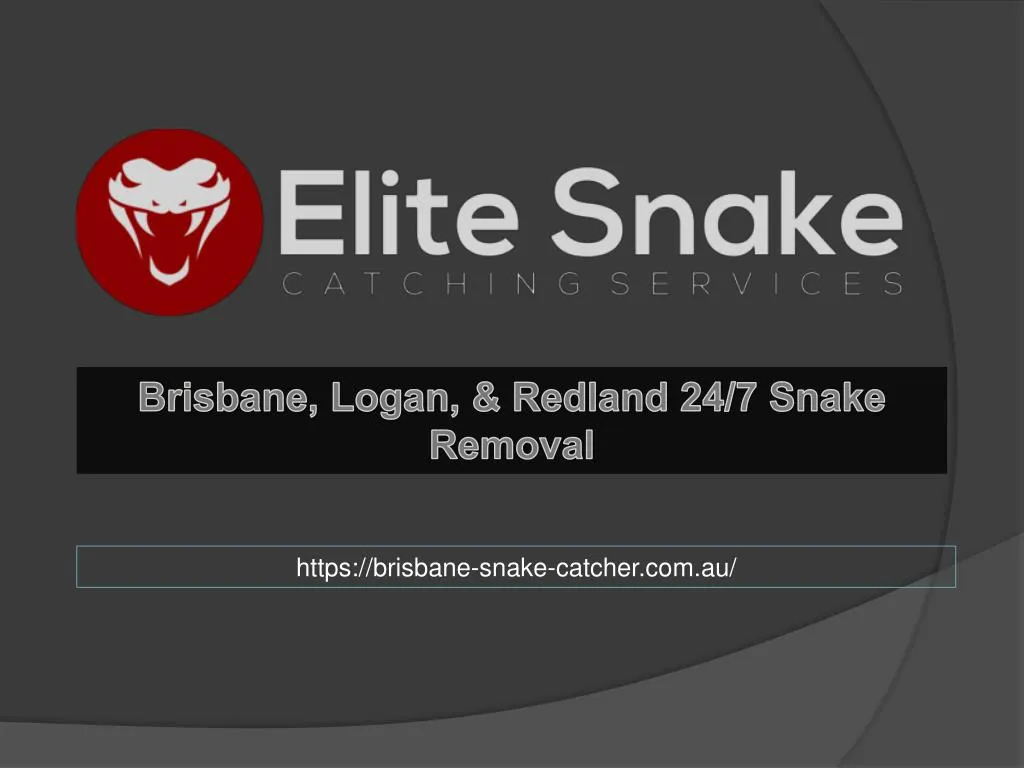 brisbane logan redland 24 7 snake removal