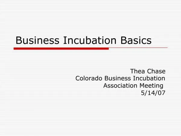 Business Incubation Basics