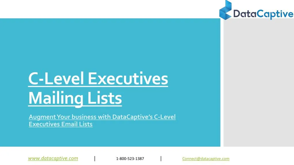 c level executives mailing lists