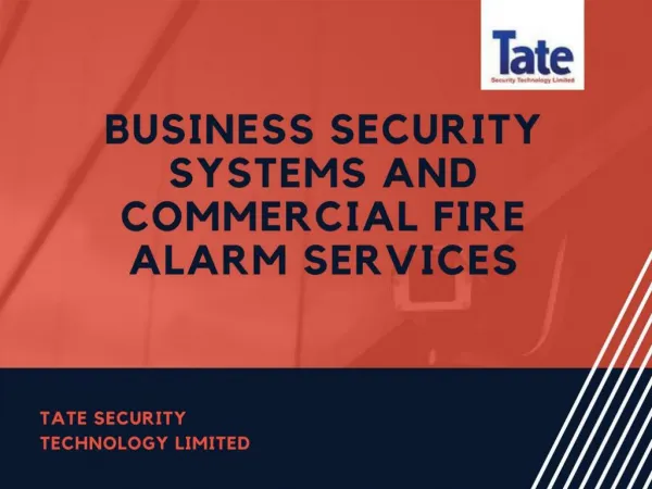Sports Stadium Security Services at Tate Security
