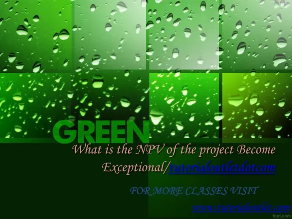 What is the NPV of the project Become Exceptional/tutorialoutletdotcom