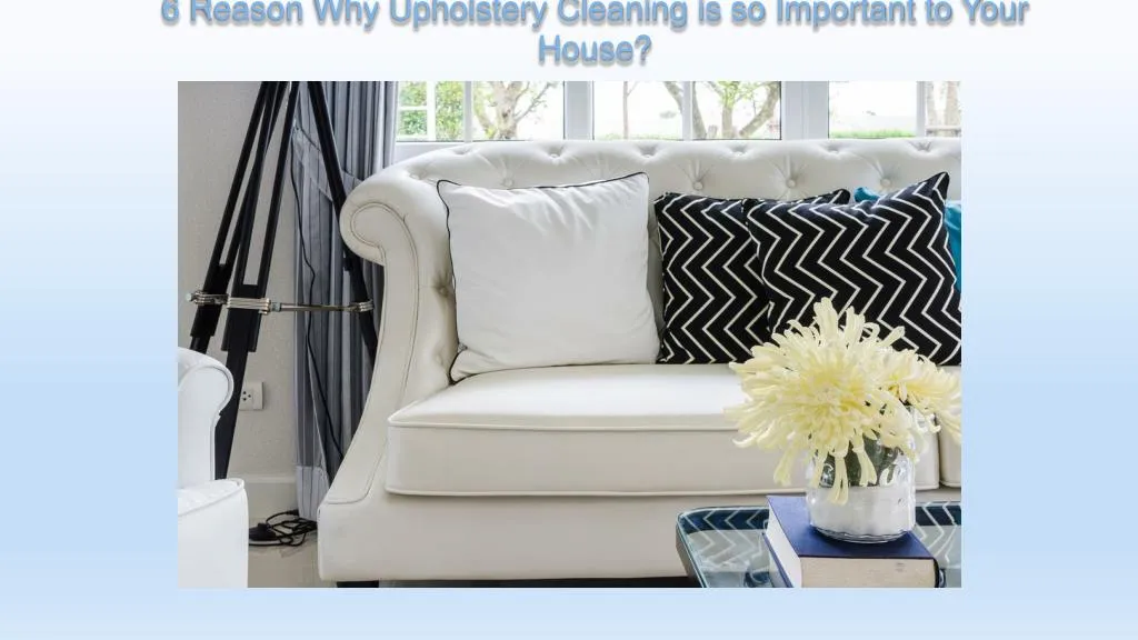 6 reason why upholstery cleaning is so important to your house