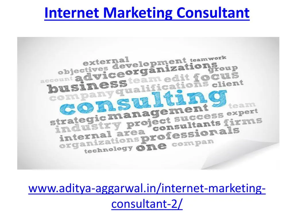 internet marketing consultant
