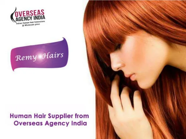 Human Hair Supplier from Overseas Agency India