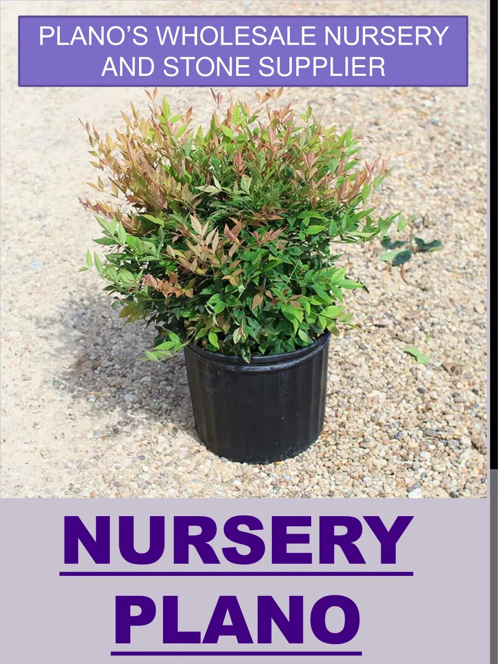 plano s wholesale nursery and stone supplier