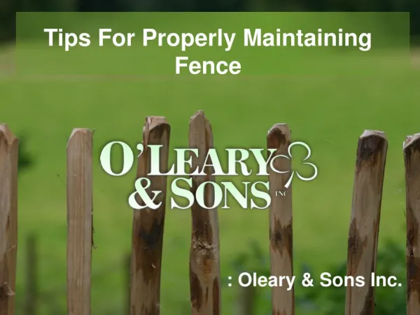 Tips For Properly Maintaining A Fence