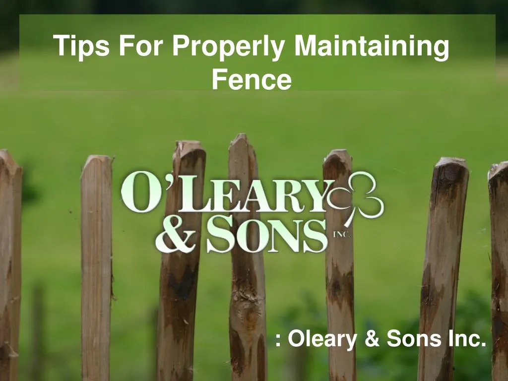 tips for properly maintaining fence