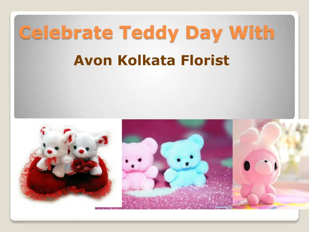 celebrate teddy day with