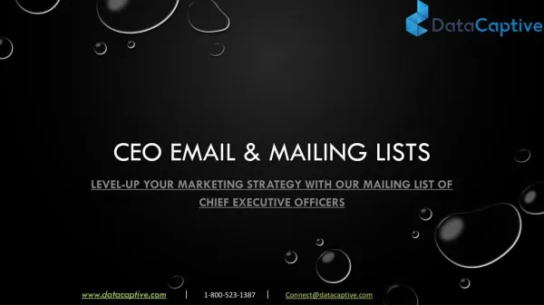 CEO mailing list