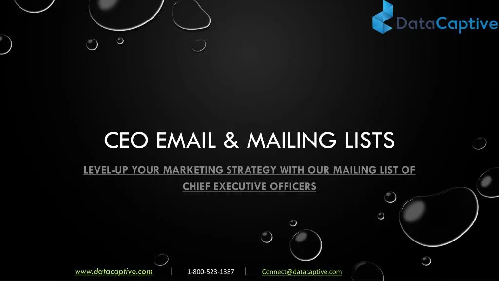 ceo email mailing lists