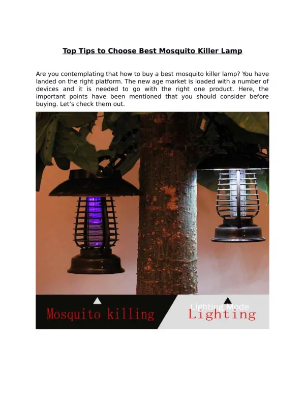 Top Tips to Choose Best Mosquito Killer Lamp