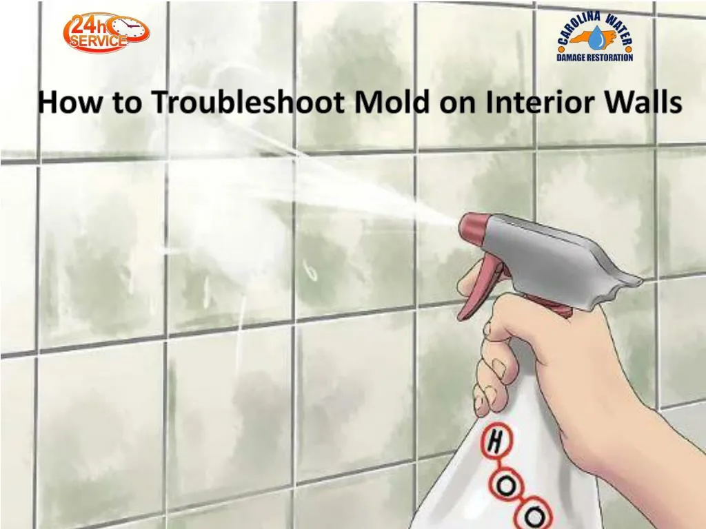 how to troubleshoot mold on interior walls