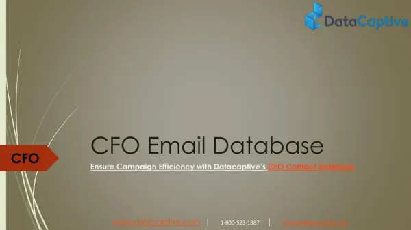 CFO Mailing Address Database