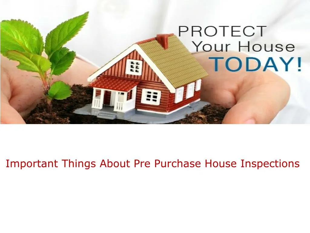 important things about pre purchase house