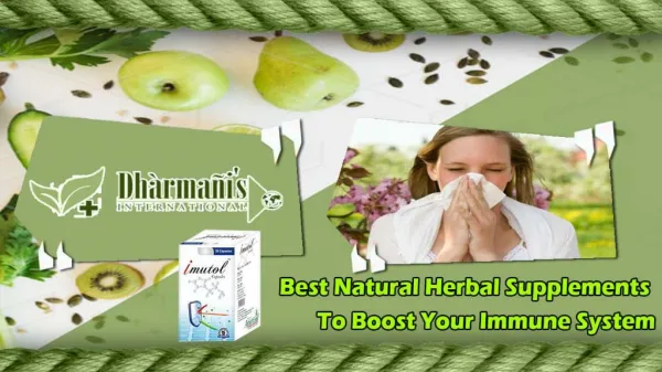 Best Natural Herbal Supplements to Boost Your Immune System