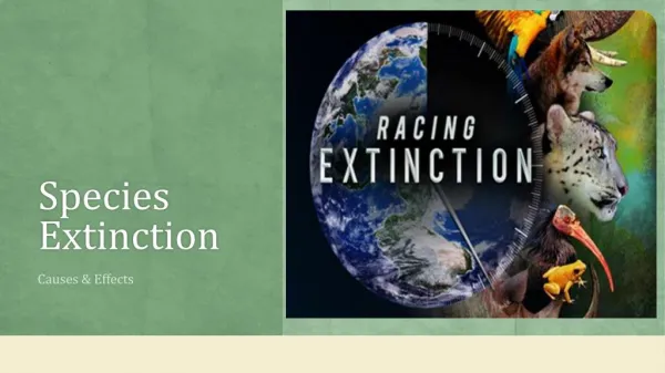 Species Extinction- Reasons and Effects?