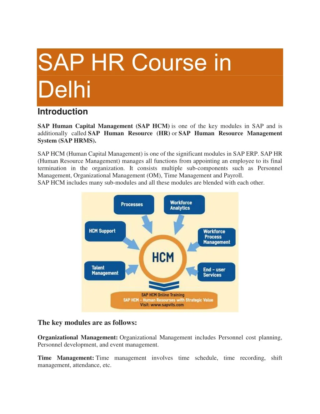 sap hr course in delhi introduction sap human