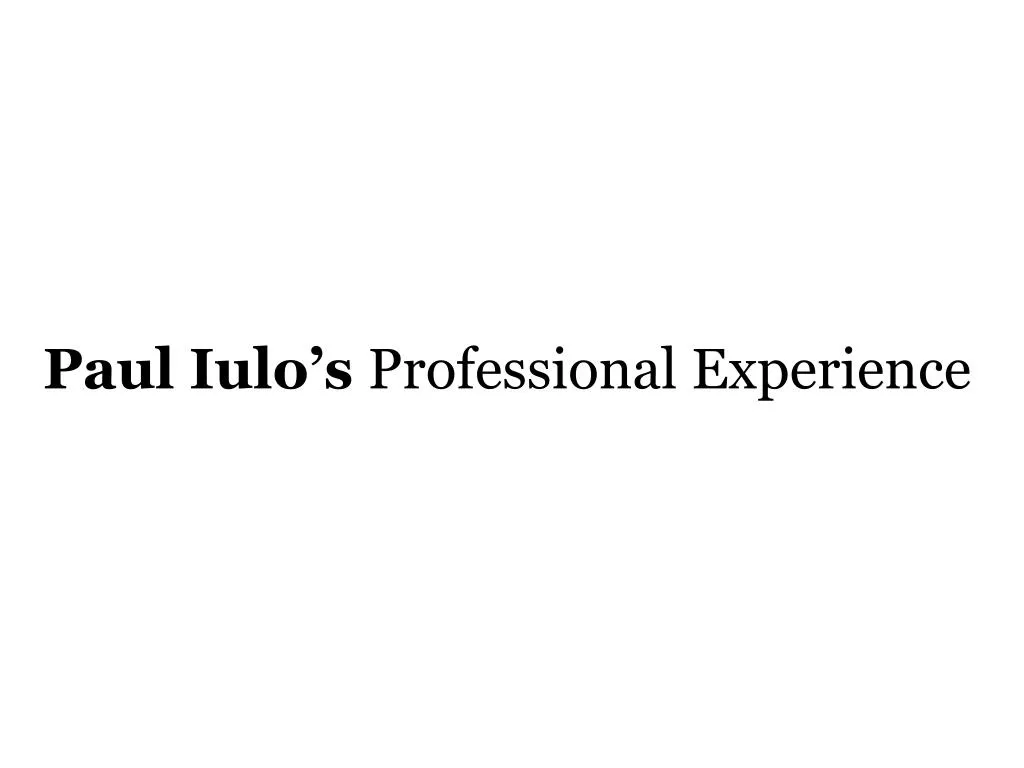paul iulo s professional experience