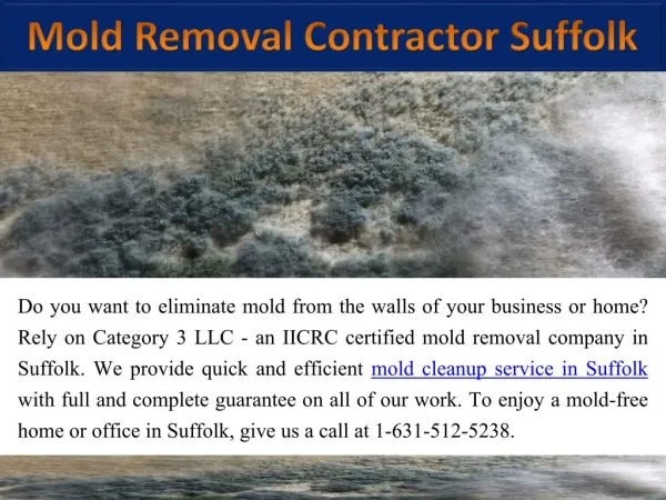 Mold Removal Company Suffolk