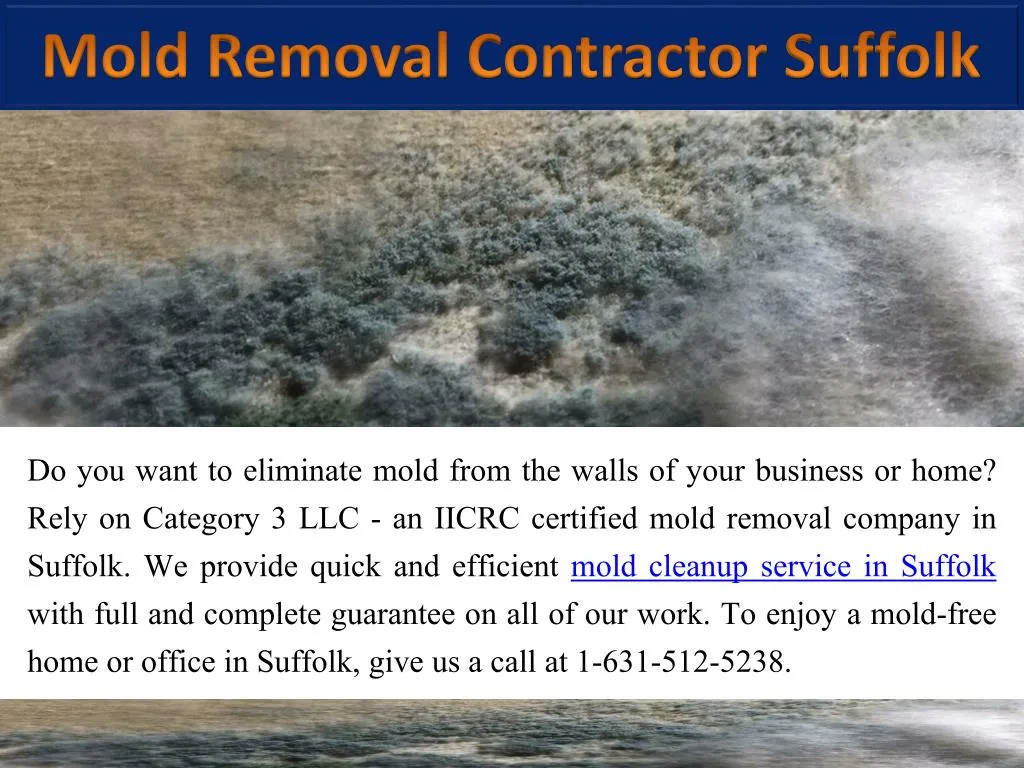 mold removal contractor suffolk