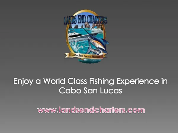 Enjoy a World Class Fishing Experience in Cabo San Lucas