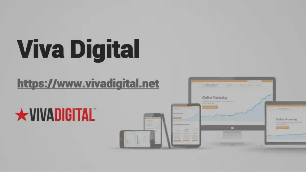 Sunshine Coast Web Design ​| Viva Digital
