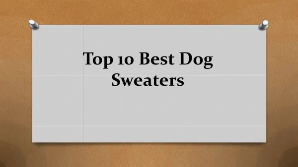 Top 10 best dog sweaters