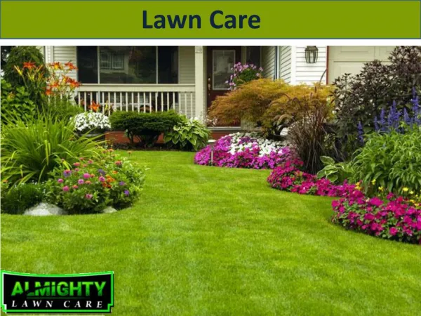 Local Lawn mowing services cairns| Almighty lawn care cairns