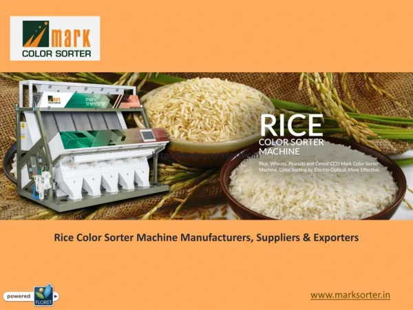 Rice Color Sorter Machine Manufacturers