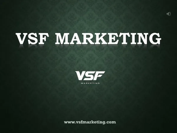 Tampa Based SEO Company - VSF Marketing