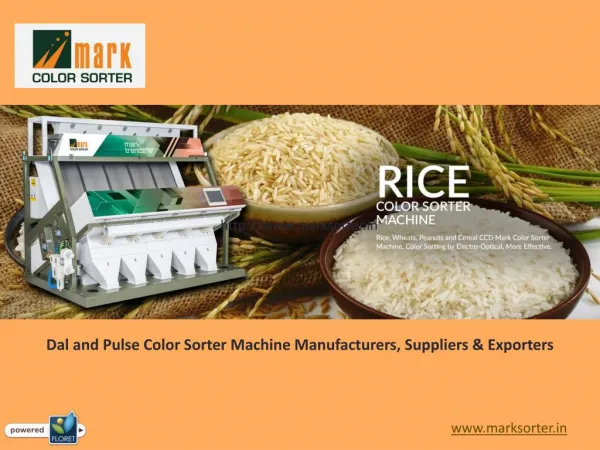 Dal and Pulse Color Sorting Machine Manufacturers in India