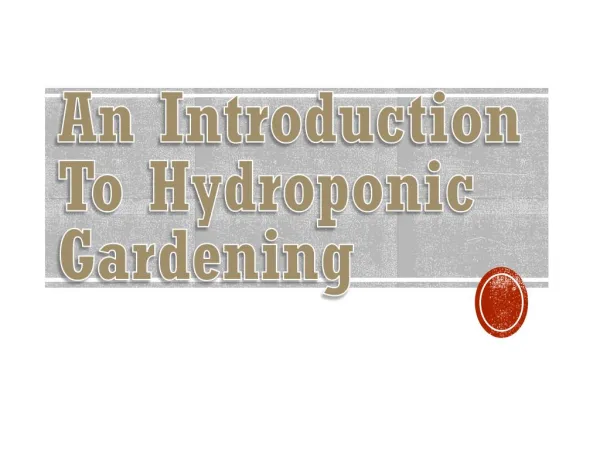 An Introduction To Hydroponic Gardening