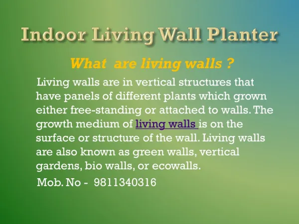 Indoor Living Wall Planter