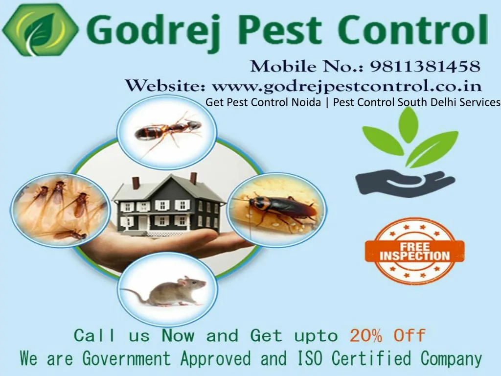 get pest control noida pest control south delhi