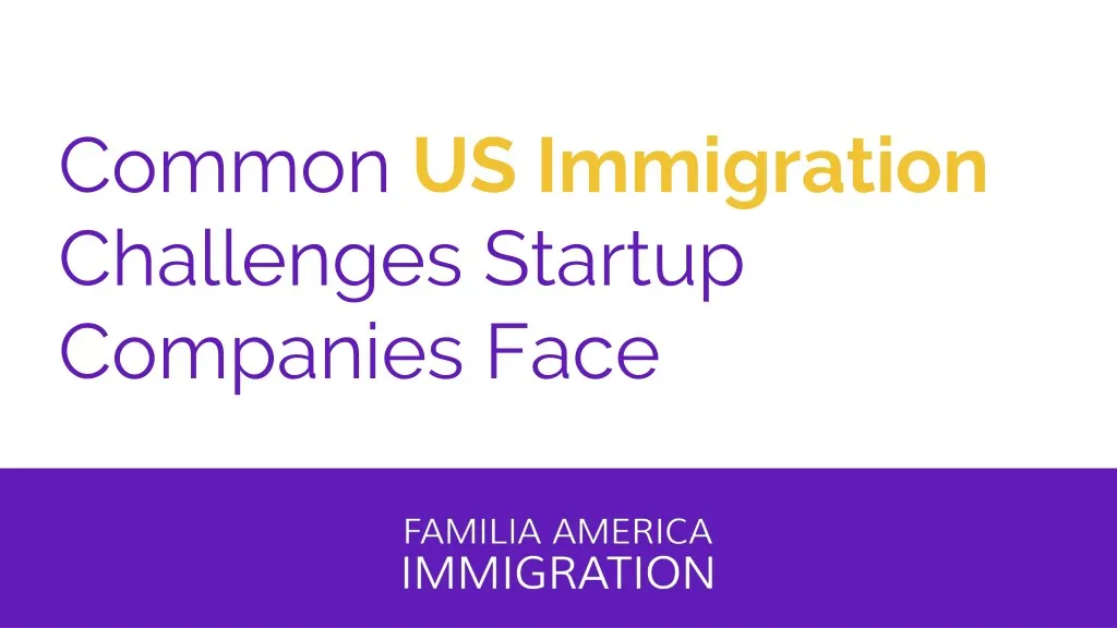 common us immigration challenges startup