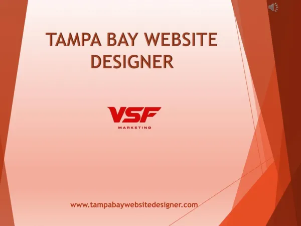Websites Designer in Tampa - Tampa Bay Website Designer